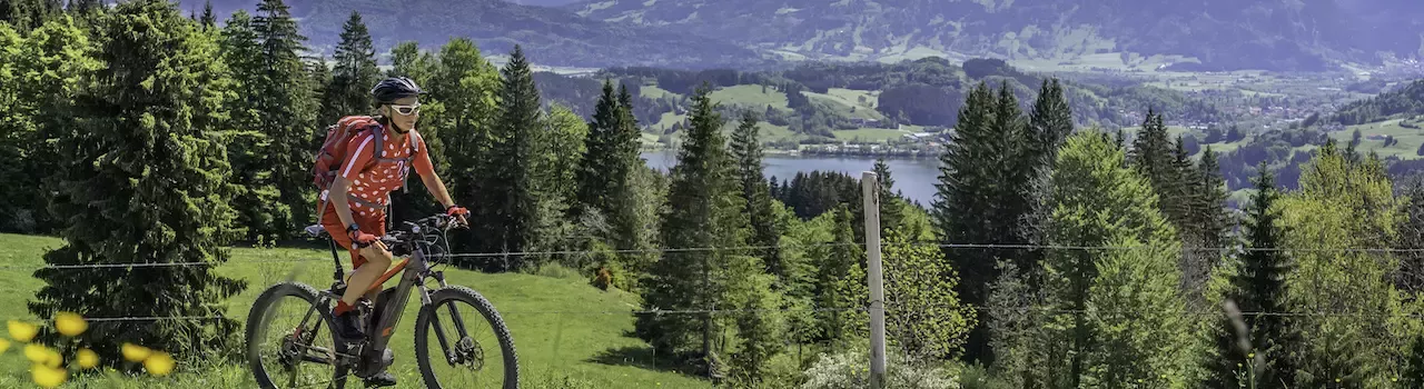 Allgäu