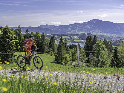 Allgäu