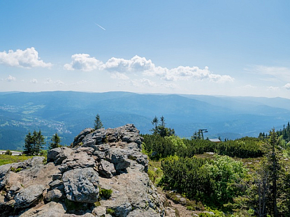 Bayerischer Wald