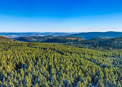 Thüringer Wald