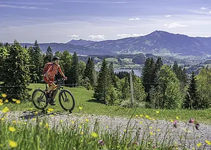 Allgäu