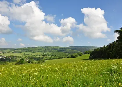 Thüringer Wald