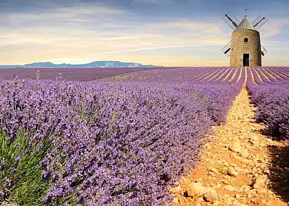 Provence