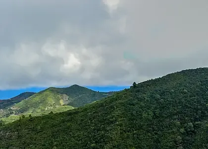 Puntallana