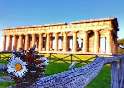 Paestum