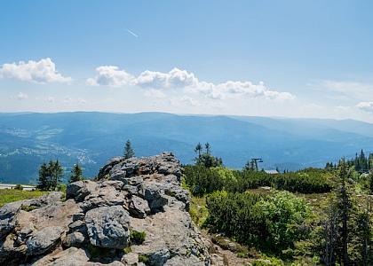 Bayerischer Wald