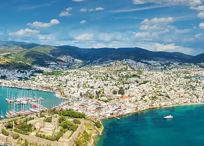 Bardakci