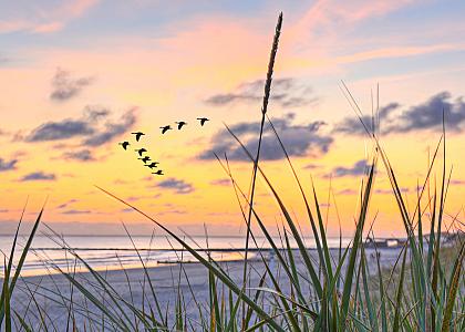 Wangerland