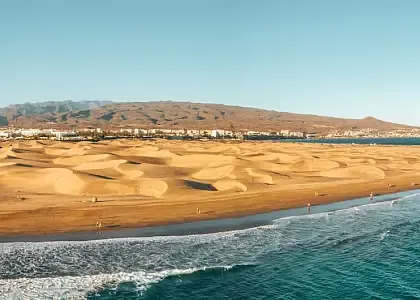 Campo Internacional
