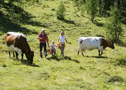 Salzburger Land