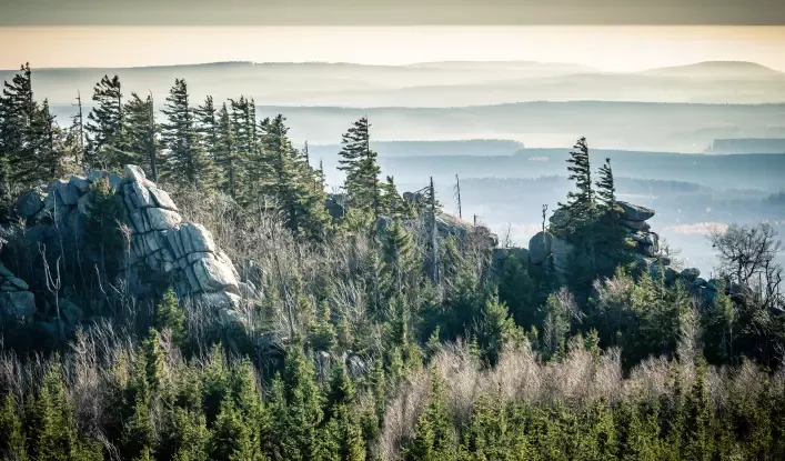 Harz