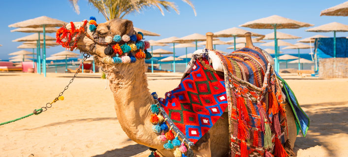 Hurghada - Tipps nach Reisetyp