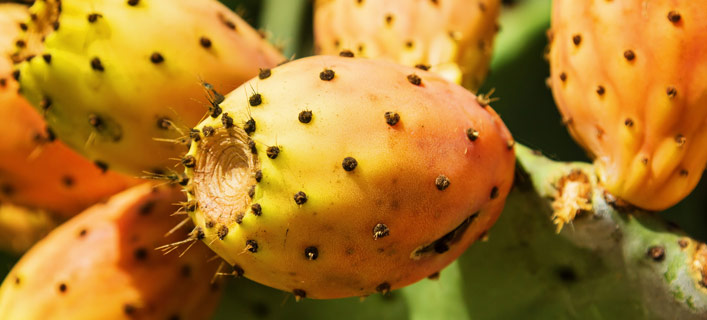 Playa del Inglés - Fakten in Kürze