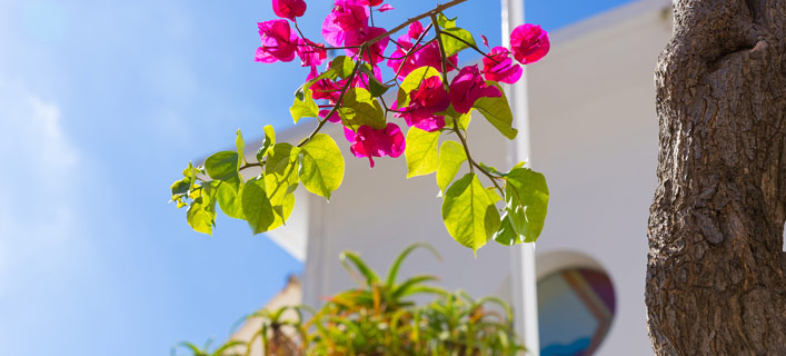 Cala Ratjada - Fakten in Kürze