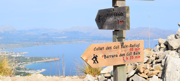 Alcudia - Fakten in Kürze