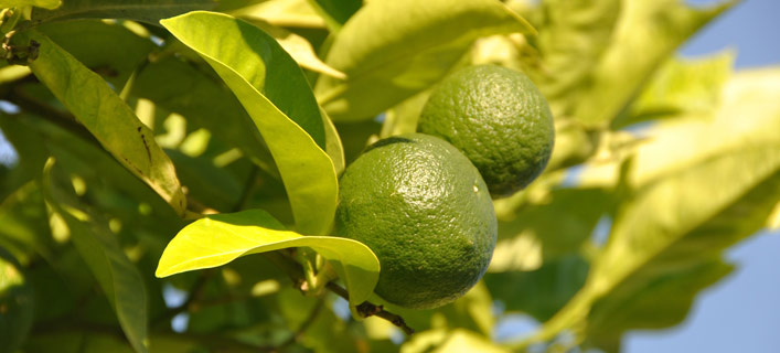 Gardasee - Fakten in Kürze